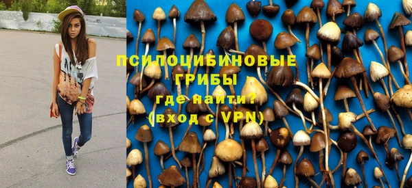 ПСИЛОЦИБИНОВЫЕ ГРИБЫ Баксан