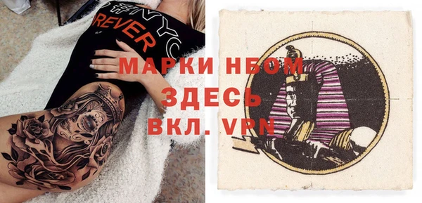 ГАЛЛЮЦИНОГЕННЫЕ ГРИБЫ Аркадак