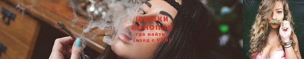 ПСИЛОЦИБИНОВЫЕ ГРИБЫ Баксан