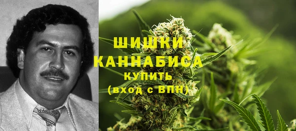 ПСИЛОЦИБИНОВЫЕ ГРИБЫ Баксан