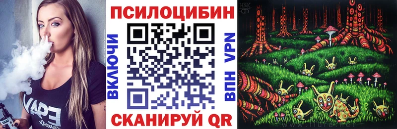 Галлюциногенные грибы Psilocybe  Соль-Илецк 